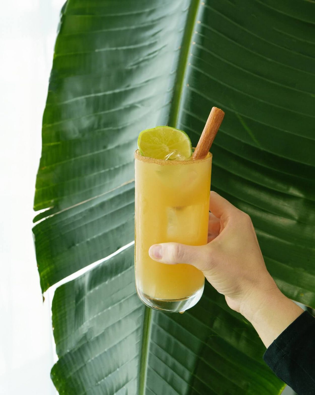 Apple Cider Fizz